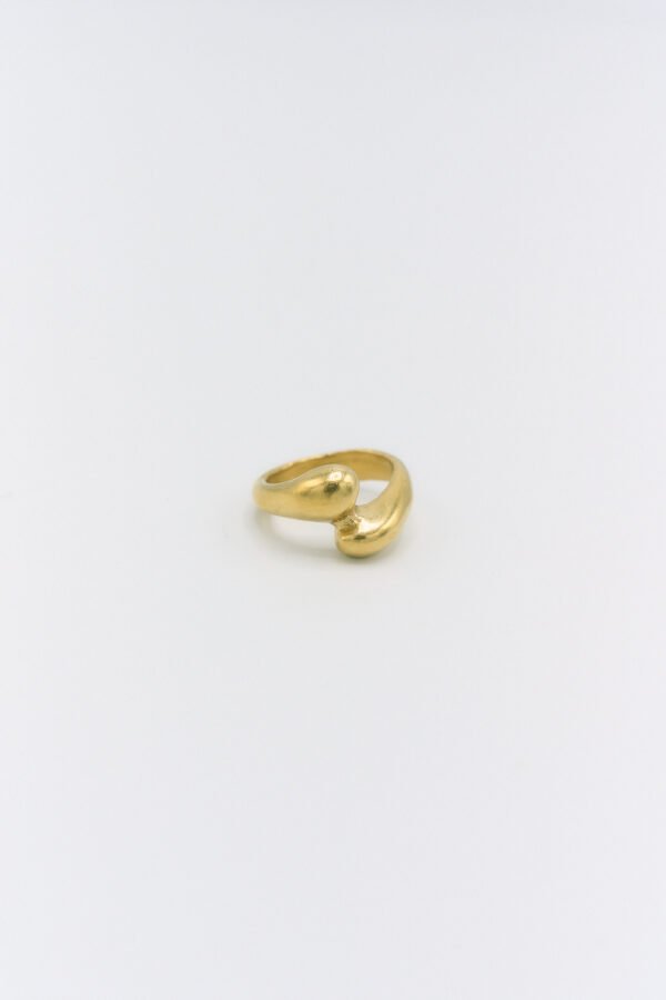 Anillo Fluid B
